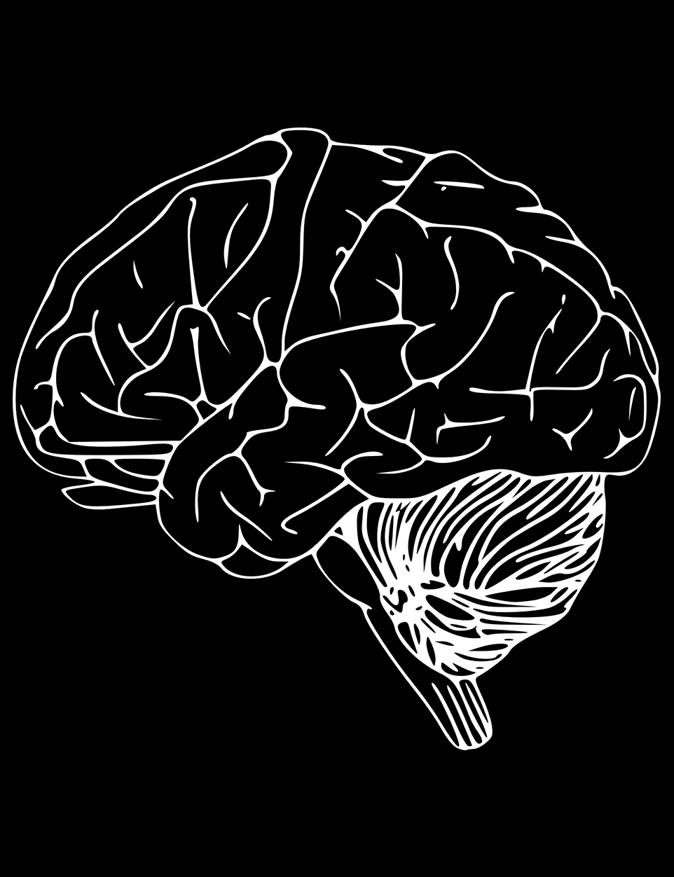 Brain
